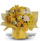 /images/telwhite03/10J230B^1lg.jpg Sunshine Surprise